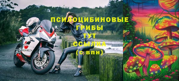 соль ск Инта