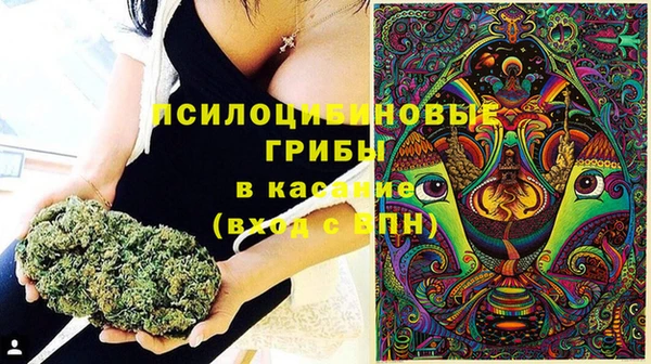 дурь Коряжма