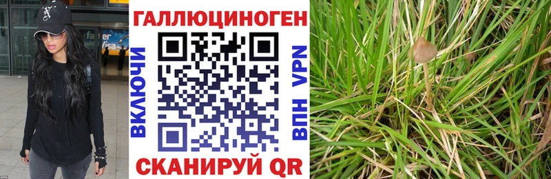 Псилоцибиновые грибы мицелий  как найти закладки  Усть-Илимск 